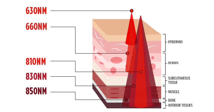 Red vs infrared light