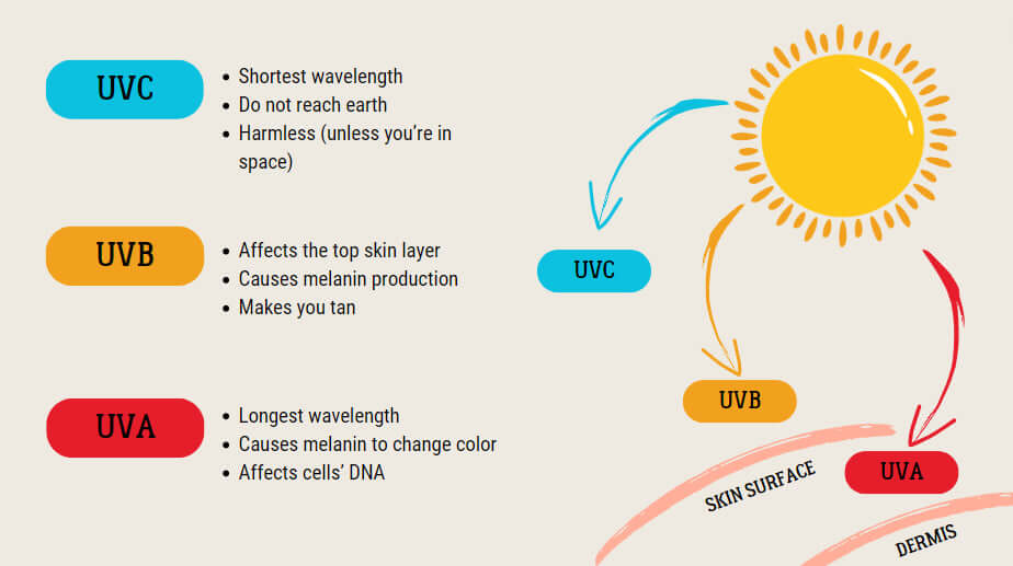 The effects of the ultraviolet light (UV)