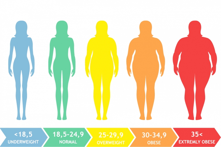 The Body Mass Index